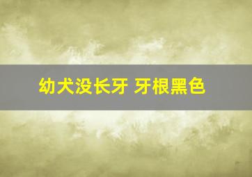 幼犬没长牙 牙根黑色